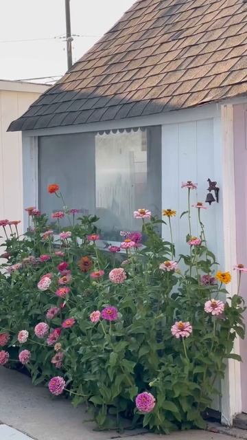 What do you want? A white house with pink shutters! 💗🏡 #house #housetohome
