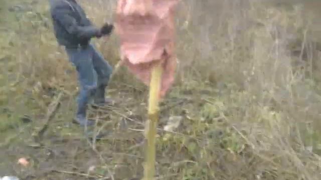 Псих бьёт камень