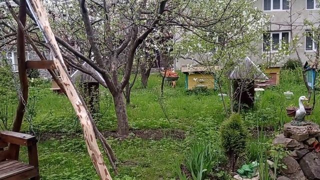 Верховина, приватна садиба "Над Черемошем"