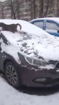 Наконец то снег, 2