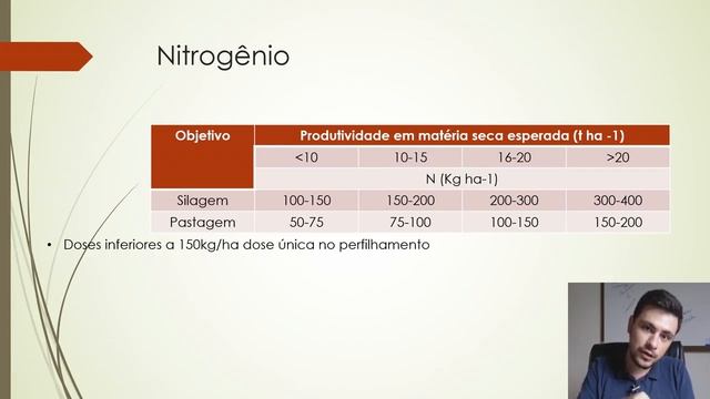 Como adubar sorgo forrageiro I Dica ESPECIAL