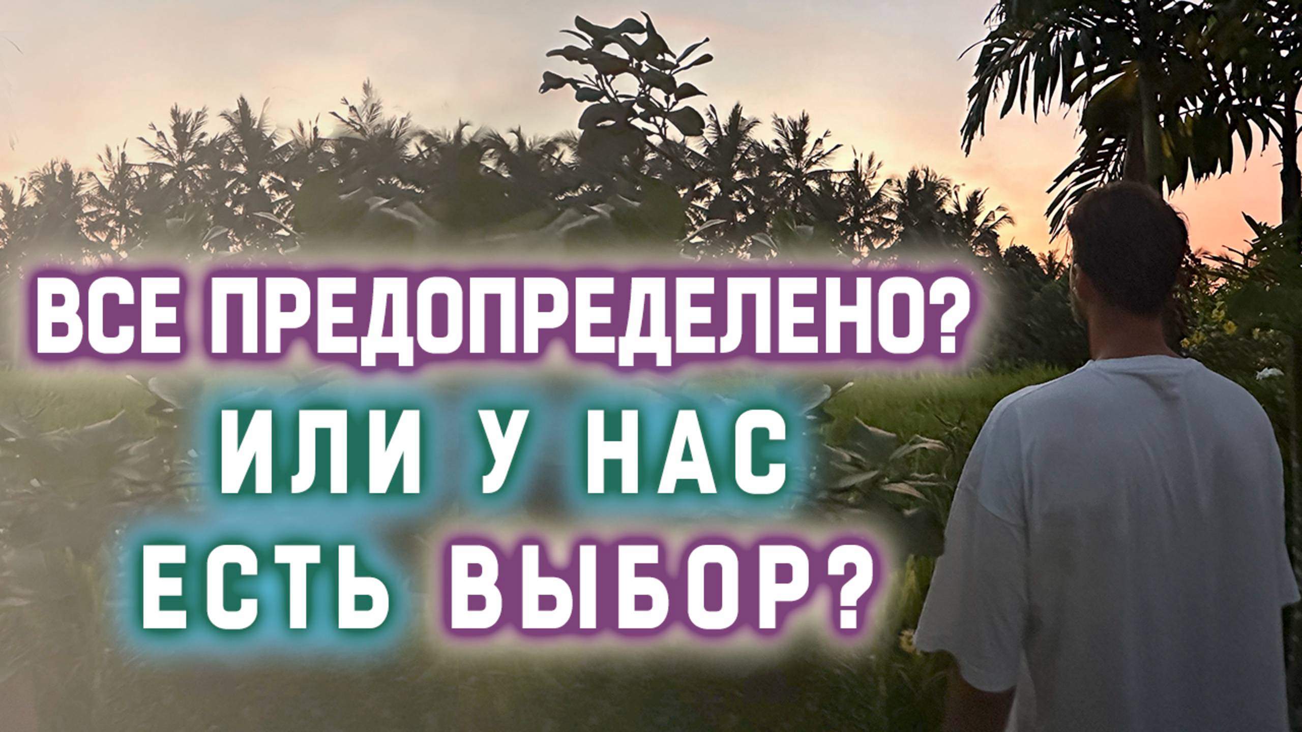 Все предопределено? Или у нас есть выбор?