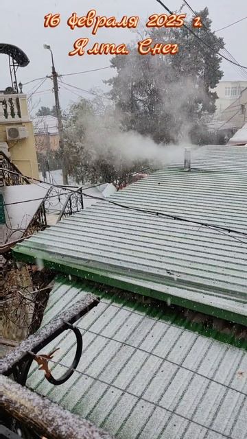 16 февраля 2024 г. В Ялте снег. Второй раз за зиму #ялта #ялта2025 #снег