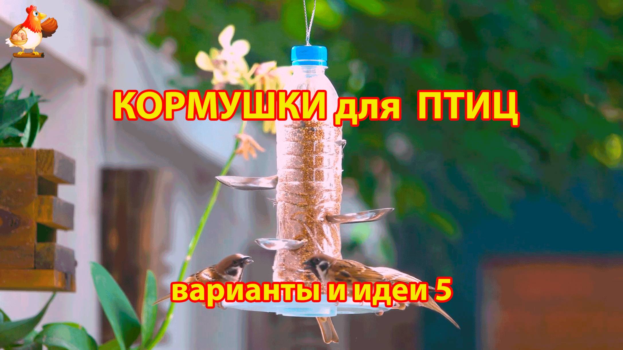 Кормушка для птиц своими руками как сделать пошагово (5) 🪚🪛🔨 Идеи для дачи и сада❣️