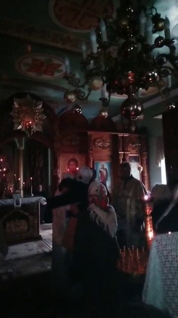14.01.2025 Господарул касей ноастре.
