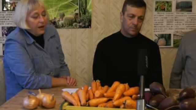 УДАЧИ. Калейдоскоп 4. 24-01-2018