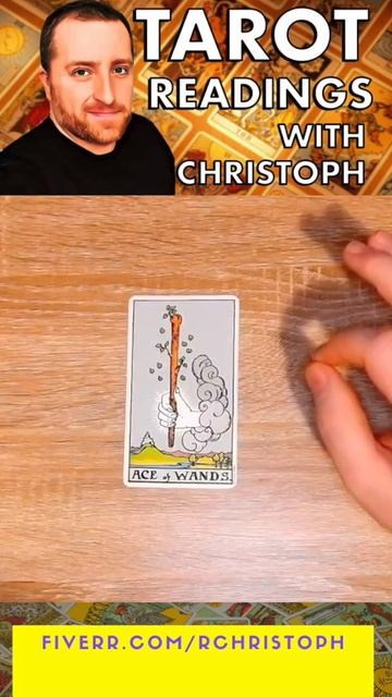 Ace of Wands Tarot Card   Serenity Tarot with Christoph #shorts