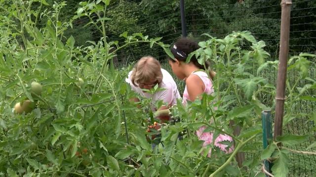 Master Gardeners, Campers Grow Together