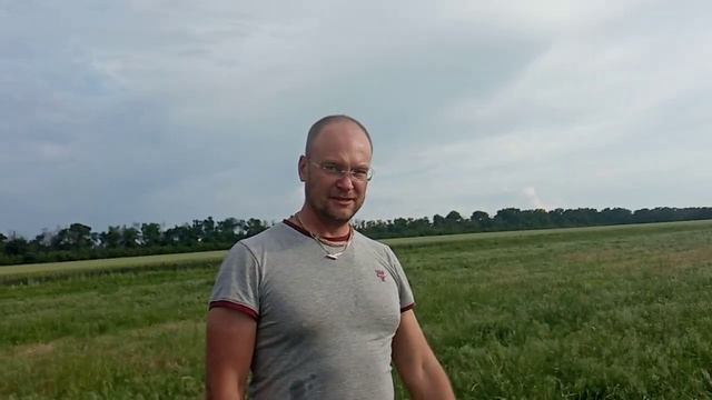 Ищем клевер в траве и зайцев.