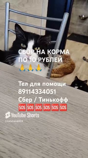 ЧЕЛОВЕК ПОМОГИ 🙏🆘