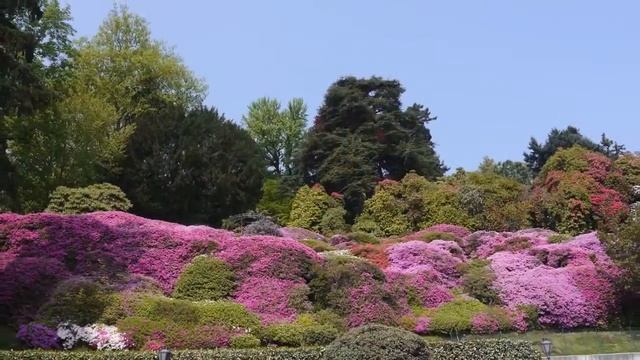 Springtime at Lake Como