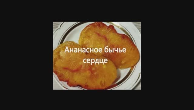 Каталог томатов 2024 г. Часть 9. Проверенные сорта. г. Киров