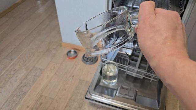 1000066618.mp4