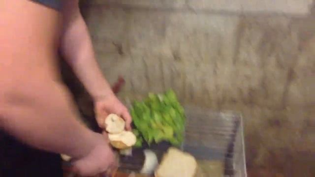 Comment commence l élevage de lapin