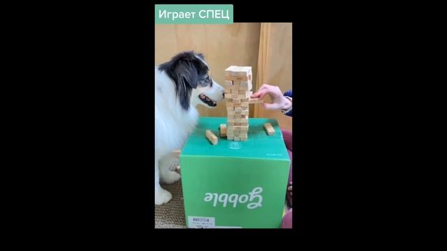 Игра мастера