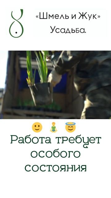 Работа озеленителя