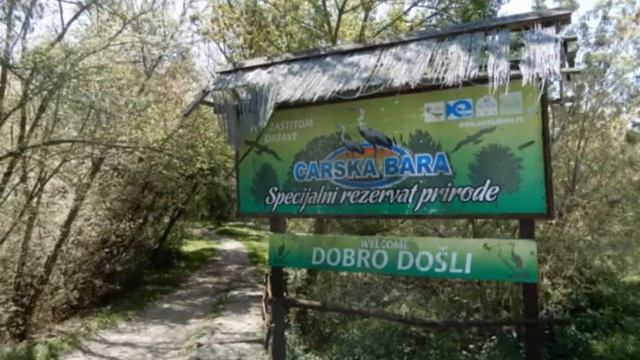 KUPALISTE PESKARA (ZRENJANIN) I CARSKA BARA - SPECIJALNI REZERVAT PRIRODE - SRBIJA