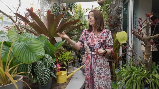 Como Ter uma Selva Urbana Tropical em Casa