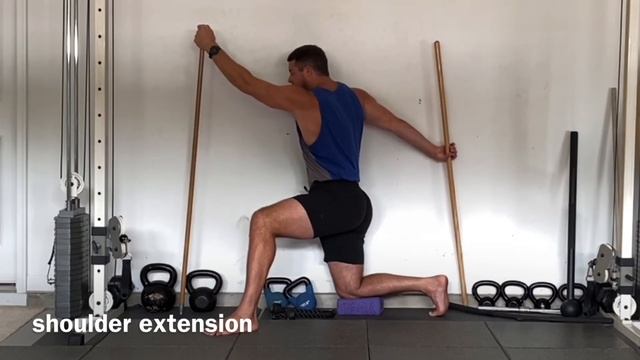 Shoulder Extension PAILs + RAILs