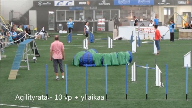 Agility MM-karsinnat 2013 - Lili