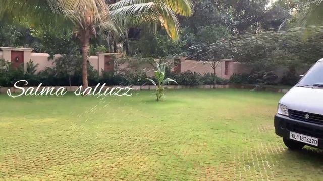 Home garden tour malayalam || Indoor plant collections || Garden ideas