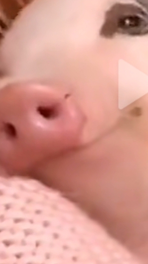 Придумайте пов, я новый блогер