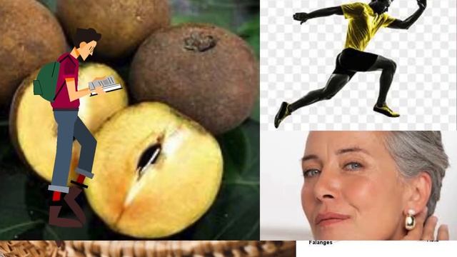 Os Incríveis Benefícios do Sapoti para a Saúde