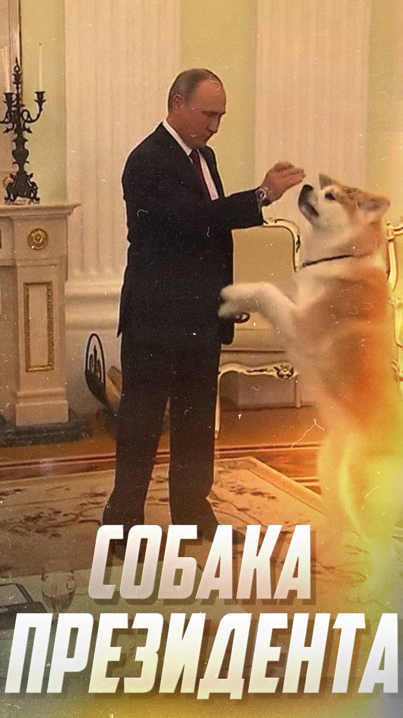 Собака Президента: Домашние животные Путина