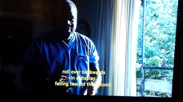 Hannibal talking about rollers pigeon's