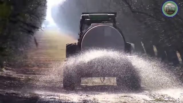 How to transform salty land into useful land