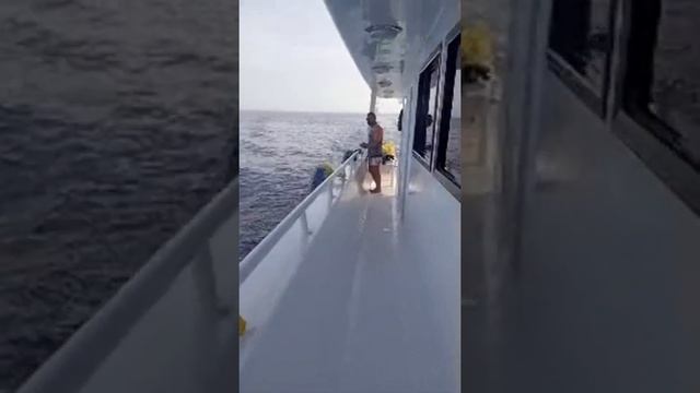Пулинг Булса Халтада, Дамоласан Яхтада(Хазил). Кизил Денгиз