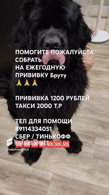 ЧЕЛОВЕК ПОМОГИ 🙏🆘