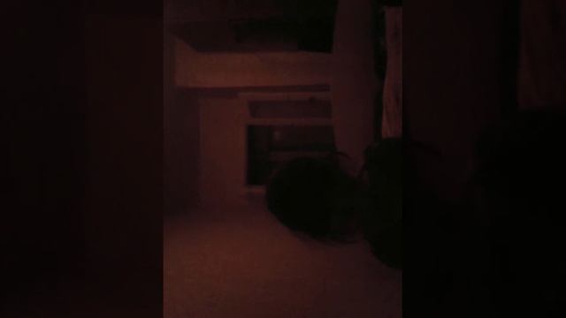 7 декабря 2017 г.