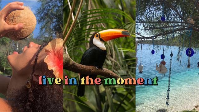 🦜С каждым днём твоя жизнь цветёт🌺Brazilian vibe🇧🇷Subliminal🧿Саблиминал🧘♀️