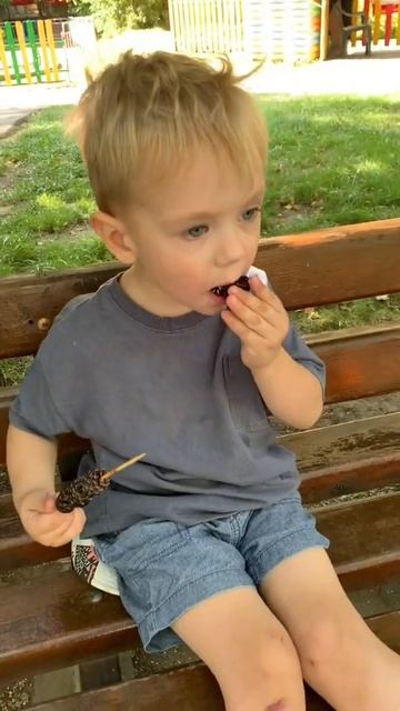 Цукаты из шишек