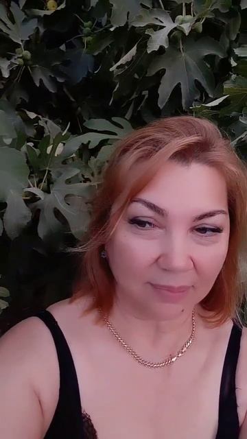 Дерево инжир которое посадил 22 года тому назад как приятно посмотреть как оно даёт плоды ))