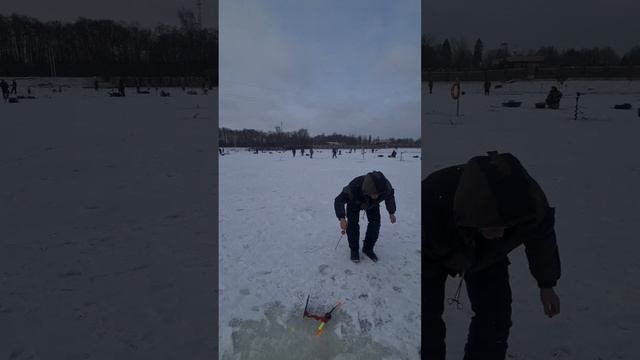 Поимки на поставушки