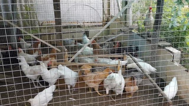 Сварила рис. И вкусно и полезно. Девочки довольны.