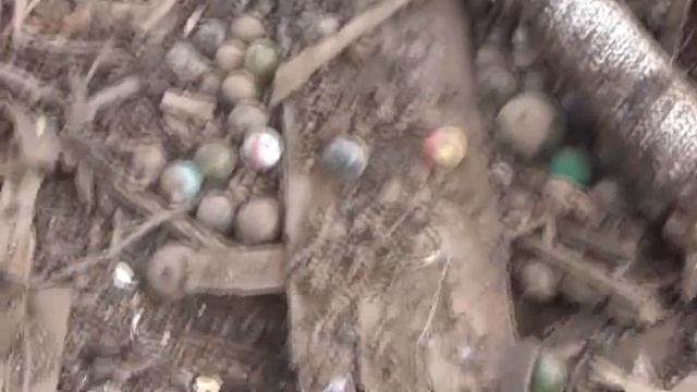 Cache of 1001 Marbles Found Bottle & Relic Hunting