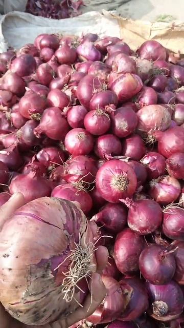 today vegetables market update and rate #foodgasm #food #shorts #trending #viral #delicious