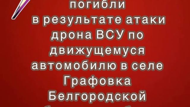 Три мирных жителя погибли в результате атаки дрона ВСУ по движущемуся автомобилю