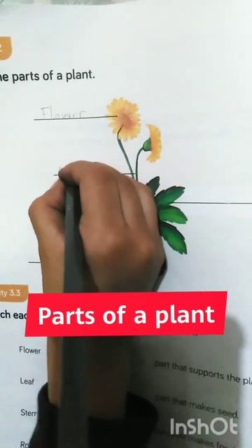 #partsofaplant #kidsstudy ||Sd homeschool