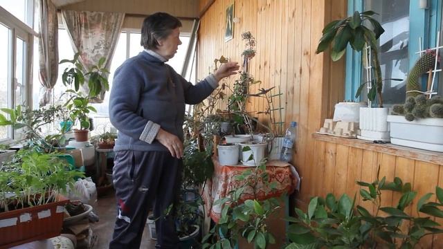 MVI_7518.avi
