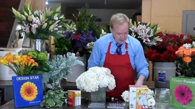 Hydrangea Mix - Flower Arranagments by Michael Gaffney