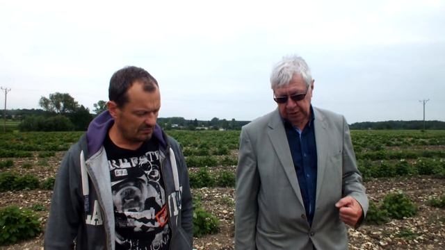 Maliny Wojciechów 2017