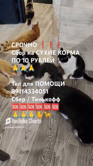 ЧЕЛОВЕК ПОМОГИ 🙏🆘