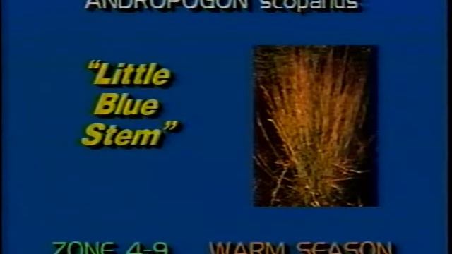 Video Catalog or Ornamental Grasses 1986