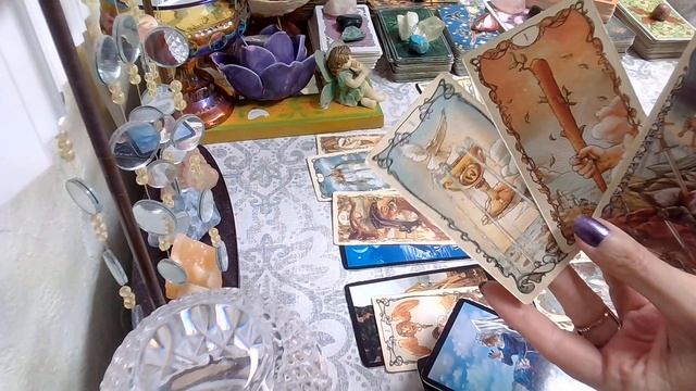 June 23, 2022 Daily Tarot; A Rose Amongst A Bunch Of Thorns