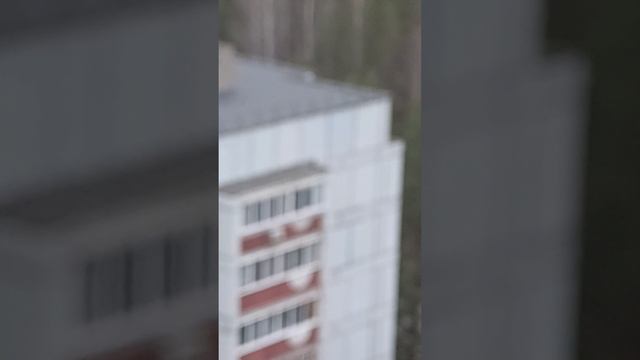 город Чайковский