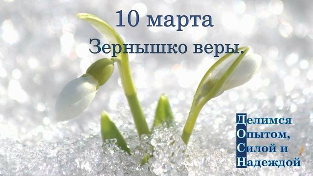 10 марта. Зернышко веры.